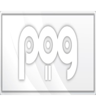 POG 2 Steam Key GLOBAL